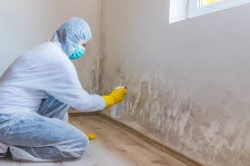 Mold Documentation for Insurance Claims in Glasgow, DE